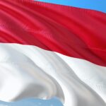Logo Indonesia W