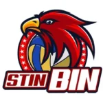 Logo STIN BIN